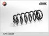 FENOX SPR17008 Coil Spring